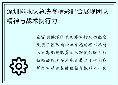 深圳排球队总决赛精彩配合展现团队精神与战术执行力