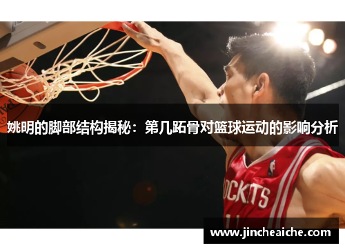 姚明的脚部结构揭秘：第几跖骨对篮球运动的影响分析